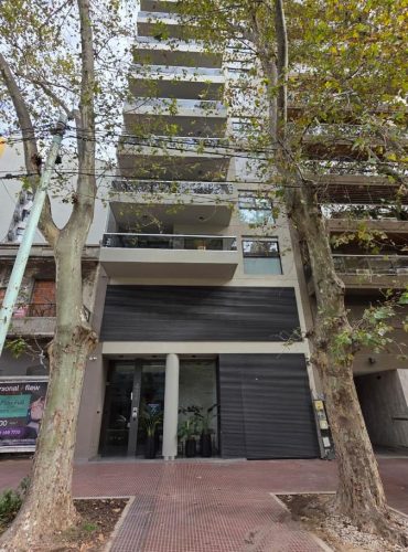 Instalaciones de Grupo Insani en desarrollo premium